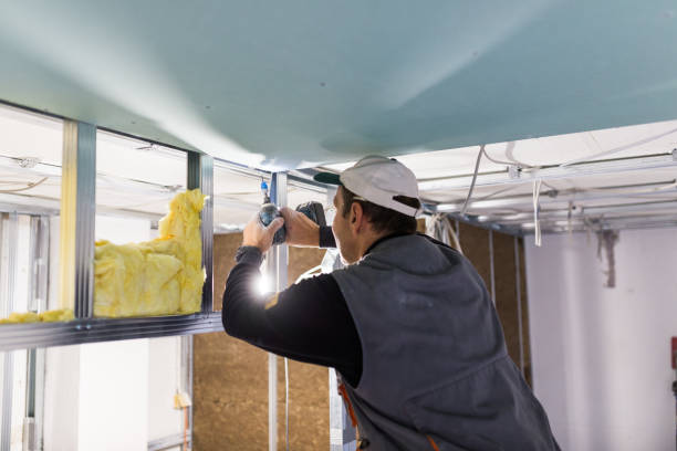 Best DIY Insulation Kits and Guidance in Schertz, TX