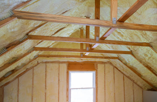 Professional Insulation Contractor in Schertz, TX