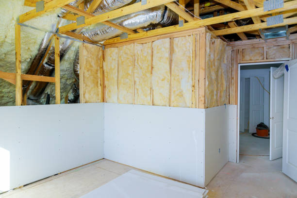Best Geographic-Specific Insulation Services in Schertz, TX