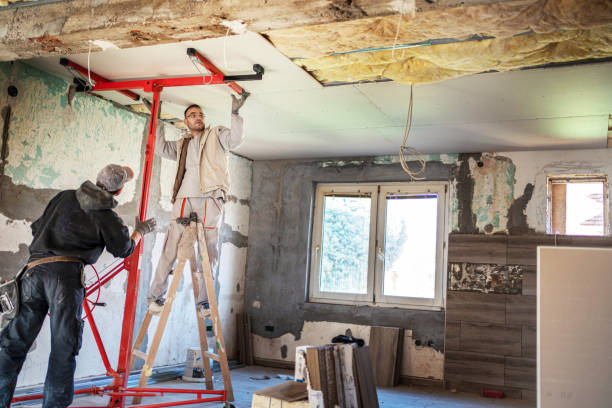 Best Cellulose Insulation in Schertz, TX