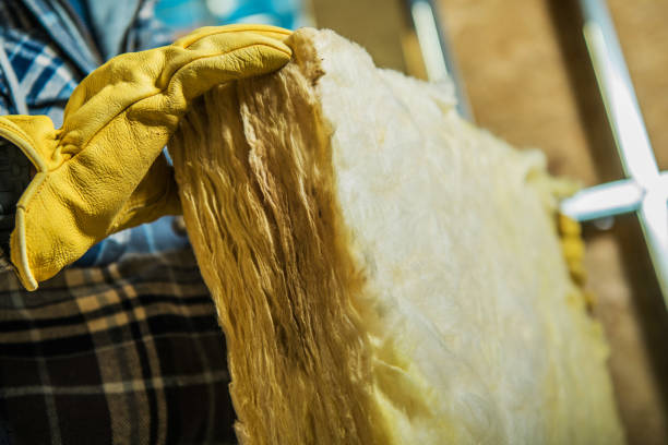 Best Specialized Insulation Services in Schertz, TX