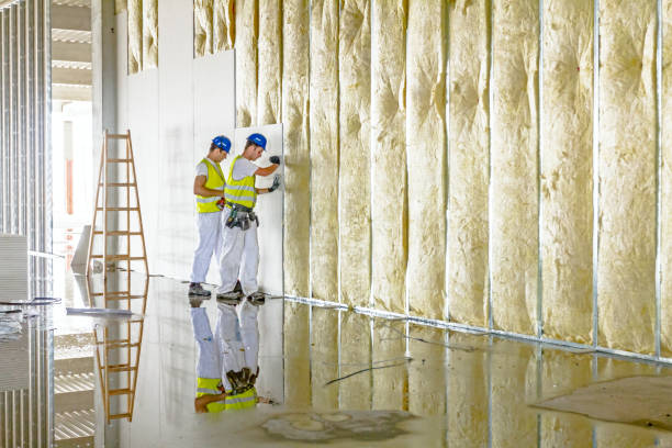 Best Fiberglass Insulation in Schertz, TX